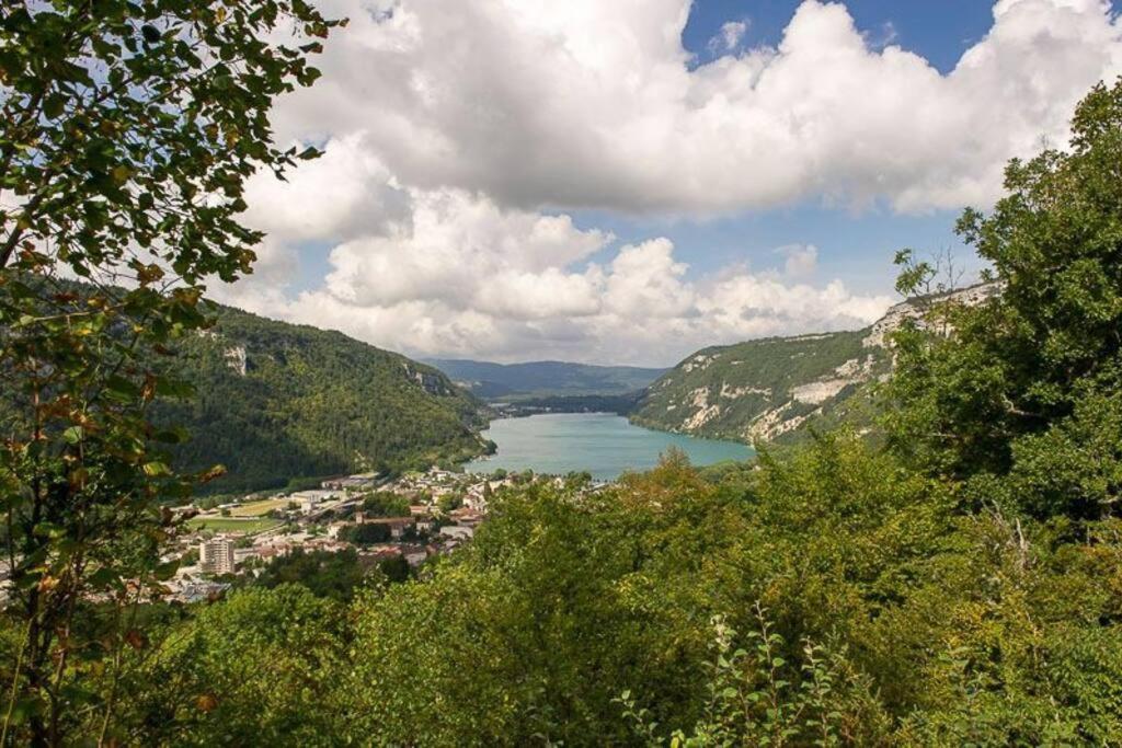 Joli Appartement En Face De Lac Нантюа Экстерьер фото